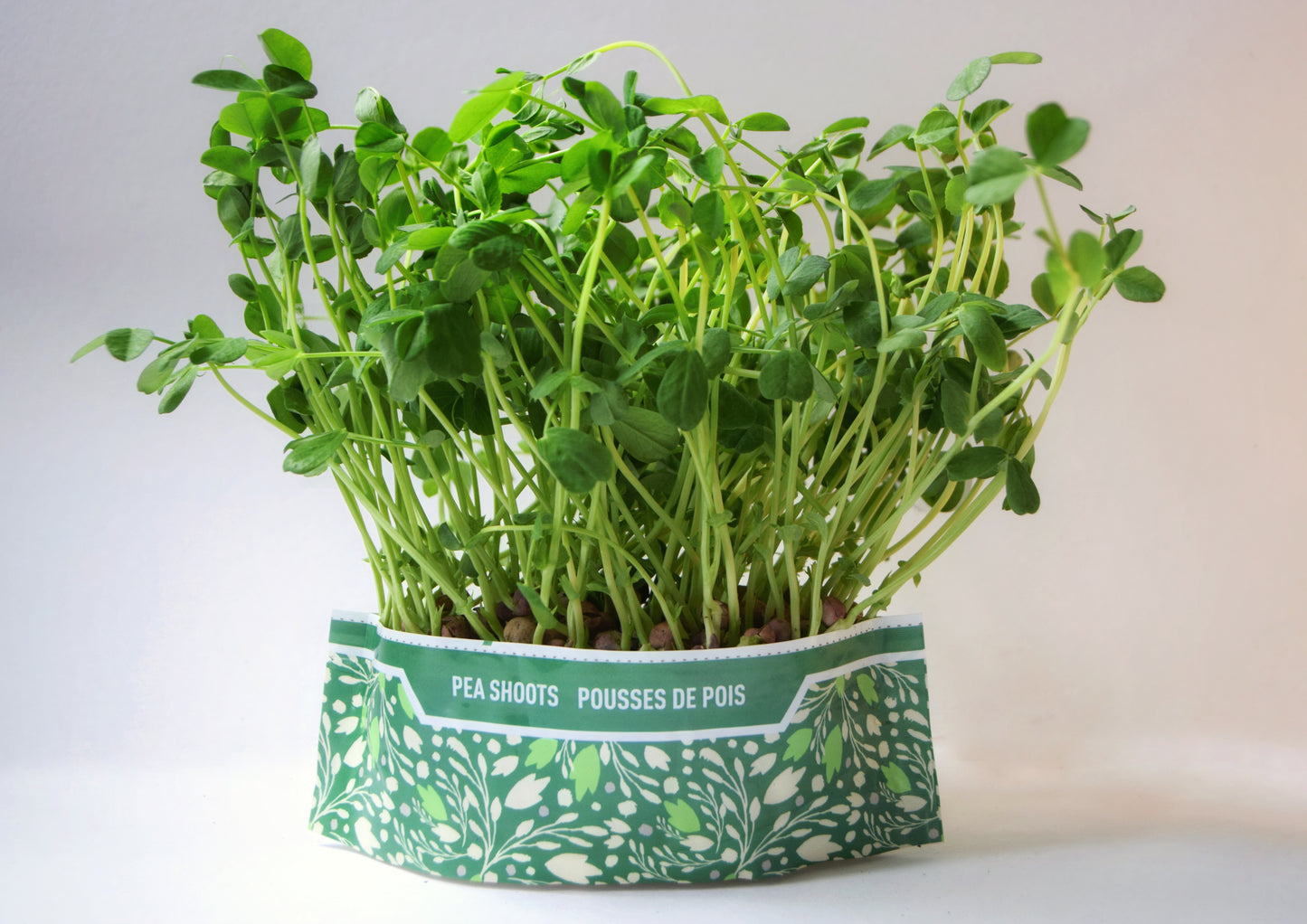 Bramble Hill Farm micro gardens for microgreens pea shoots fully grown