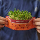 Micro Garden Microgreens Kit Bundle - ALL 7 varieties!